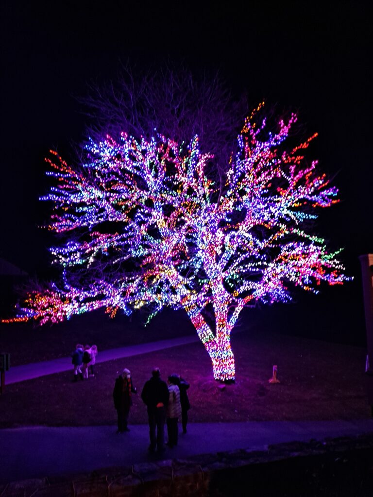 NWLVMC memorial tree lighting