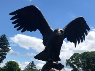 Close Up Image of Bronze Eagle Statue